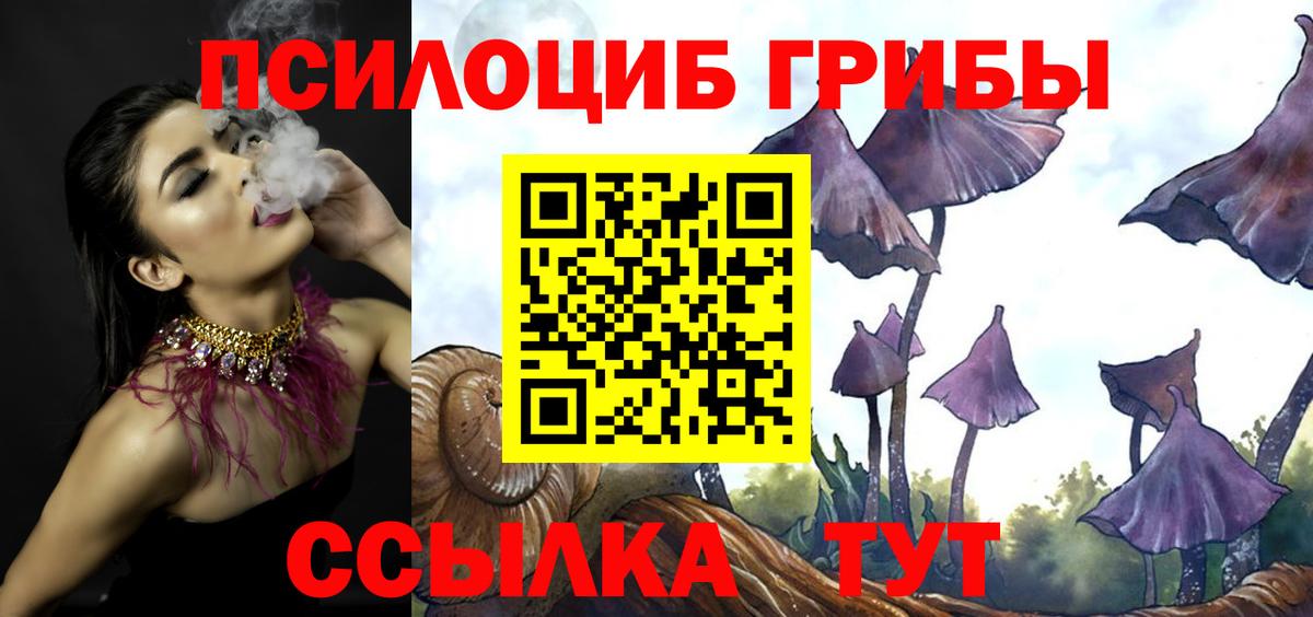 Псилоцибиновые грибы ЛСД  Вход с VPN  Дзержинск 